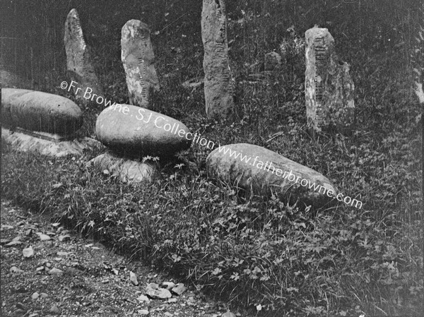 OGHAM STONES AT CONVENT